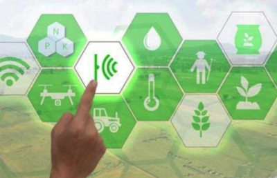 贝斯特全球奢华海岳智粮·粮企云产品解决方案