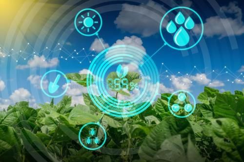 贝斯特全球奢华海岳智粮·慧眼产品解决方案